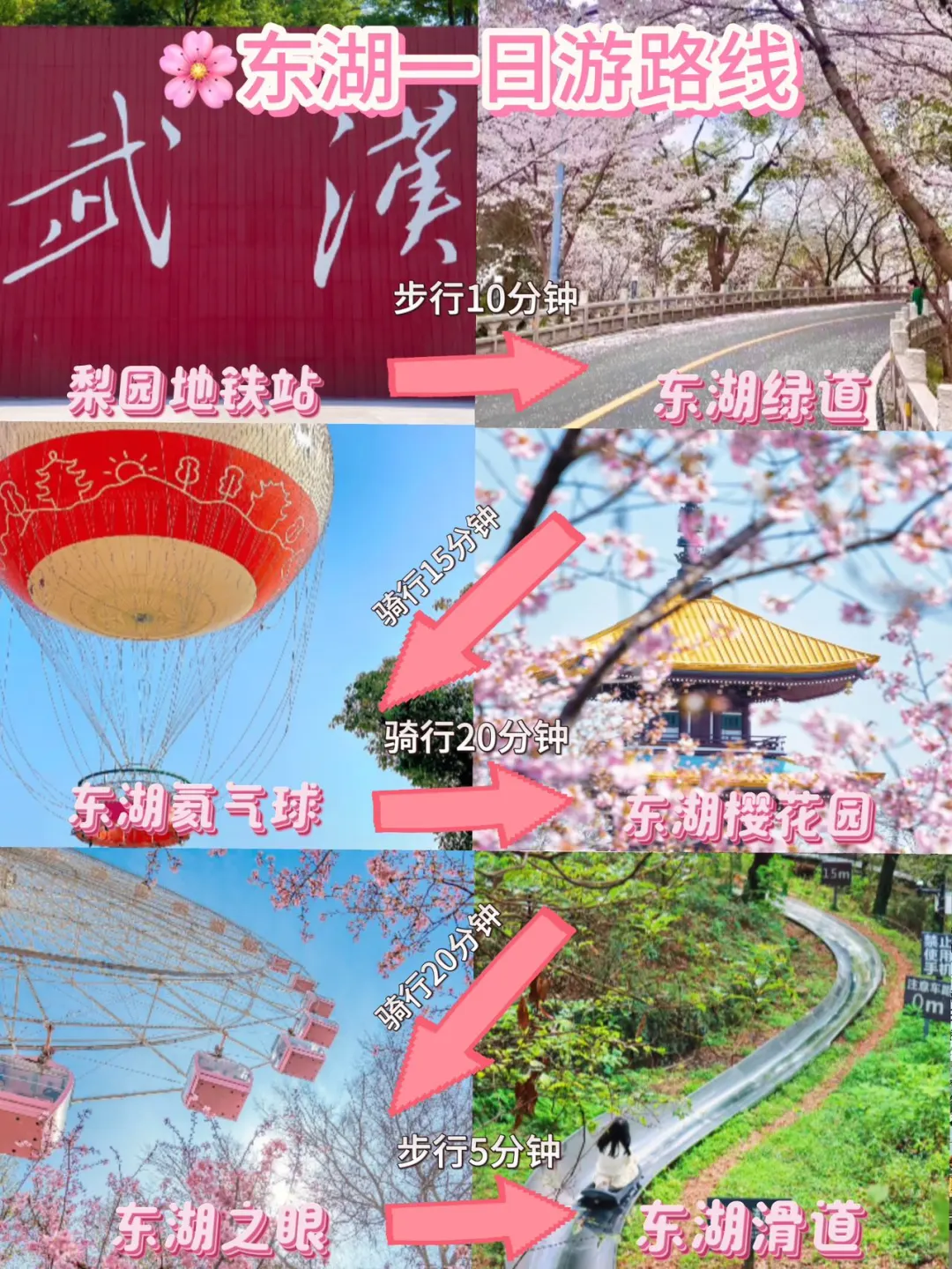 武汉东湖赏花这样走🌸一日游路线已规划好
