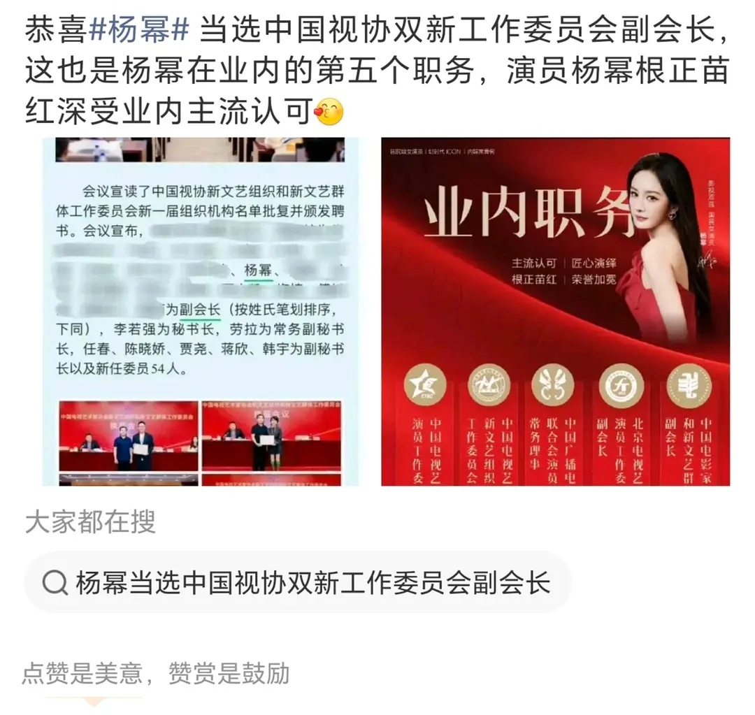 我趣，杨幂居然是中国视协副会长