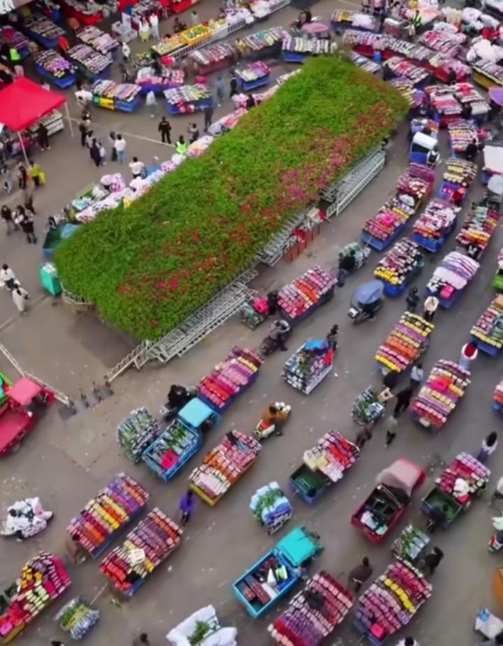 昆明斗南花市，花海人海太震撼！
 
昆明斗南花卉市场，每天花农集中进场交易的画面