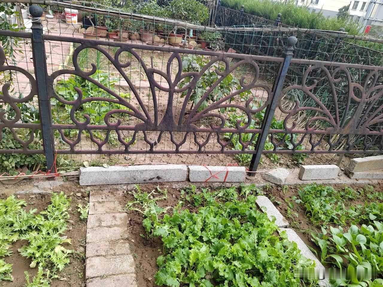 我们小区的一楼住户，每家每户都有一个小院，有的住户把小院用大理石铺起来了，这样显