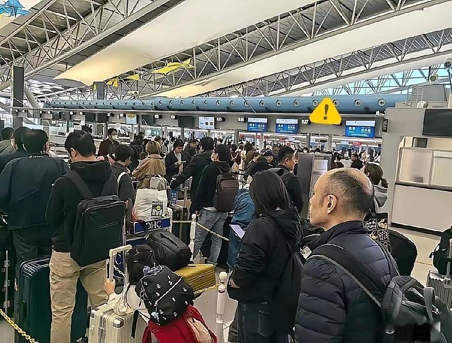 看着上海机场赴日柜台前的长队，再对比外交部接连发出的安全提醒，这种反差确实让人心