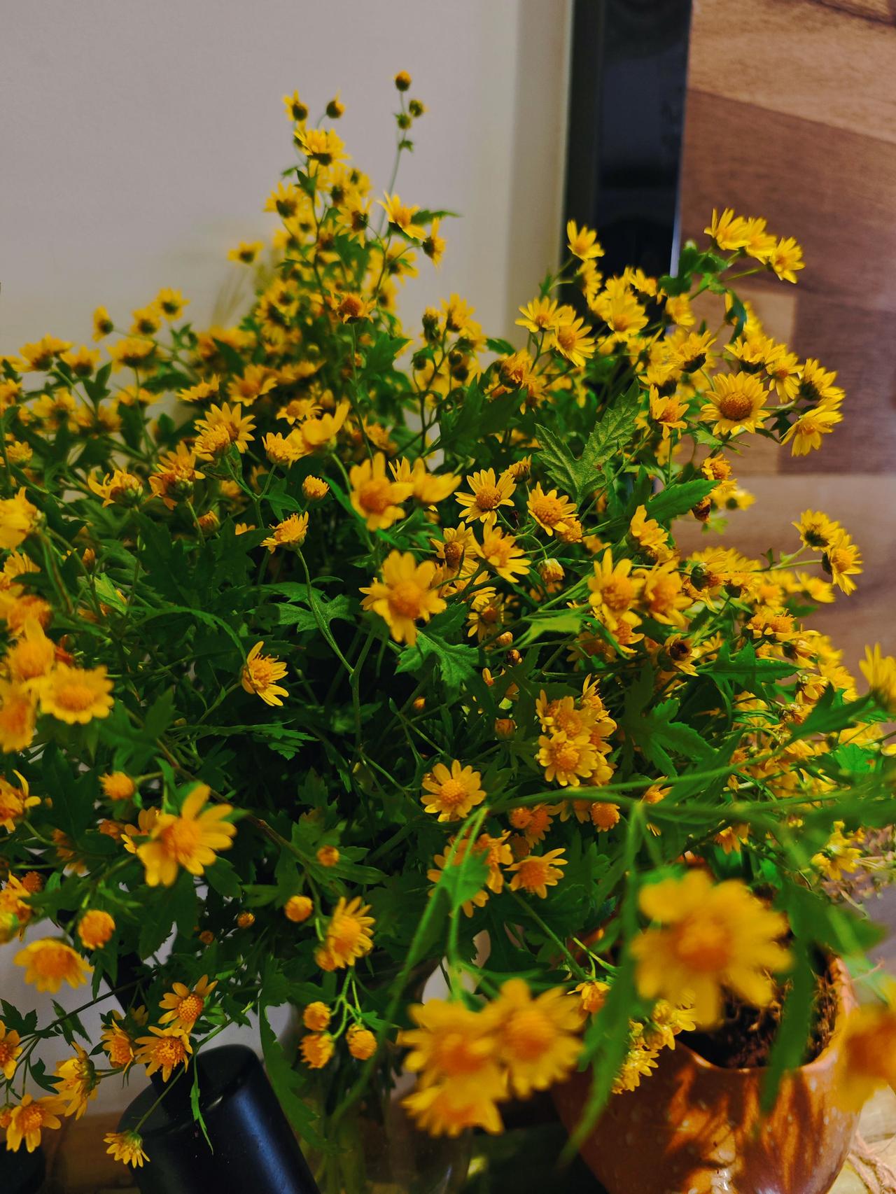 我没教导好孩子，是我的错。
今天狠狠的骂了孩子一通，放学接她时，我没看到她所站的