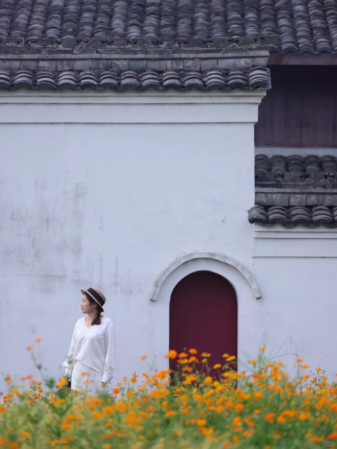 宁波李惠利故居的花海又悄悄开好了