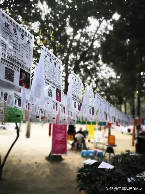 你会等患绝症的相亲对象吗
前阵子刷到那个爆火的相亲绝症故事，看完半天没缓过来。