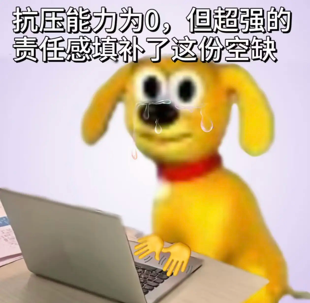 耳鸣 头晕 失眠 胃痛 腰酸 