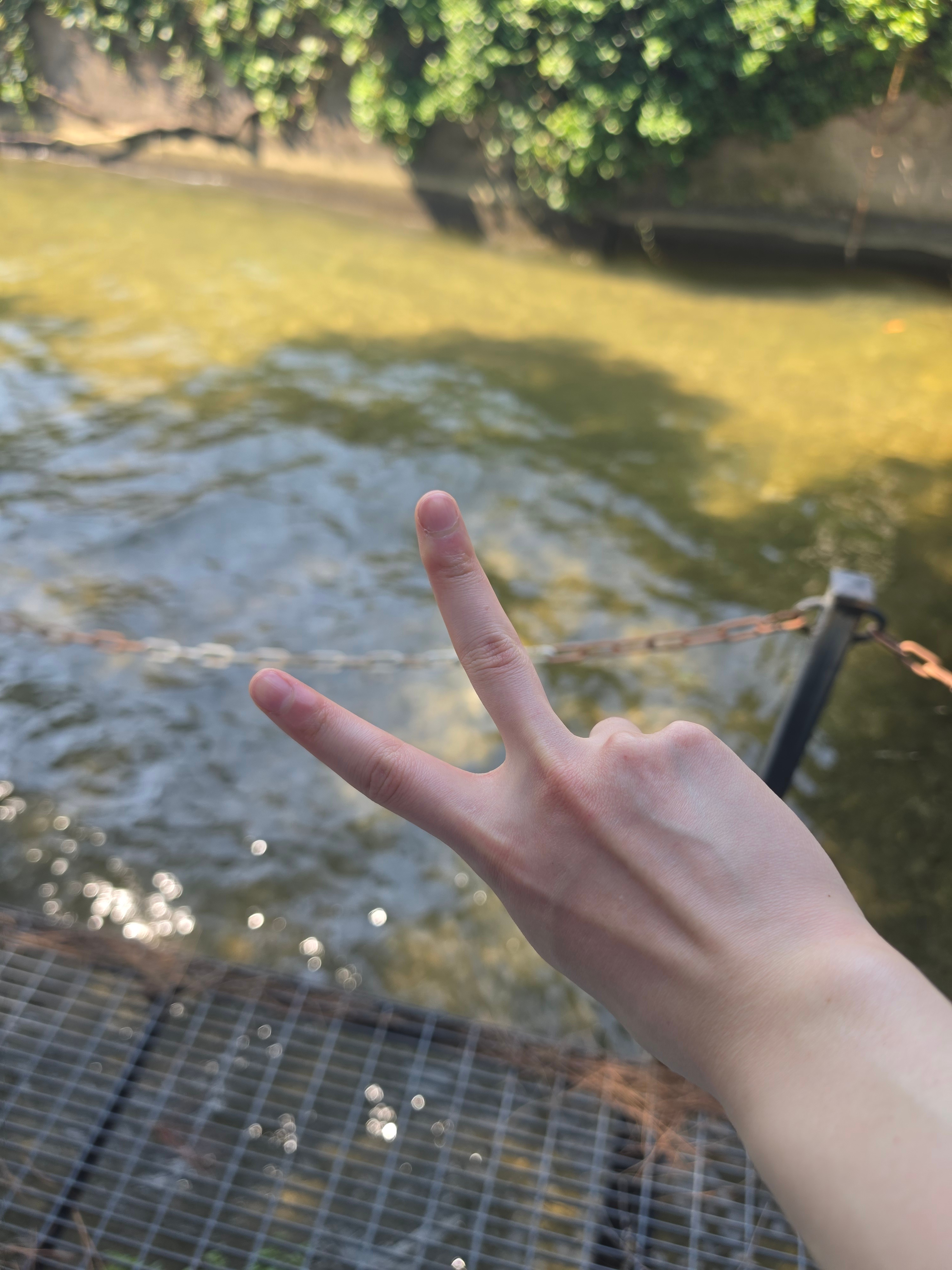 所有的伤痛都在看到指甲剪到快贴血线的时候得到治愈❤️🩹 