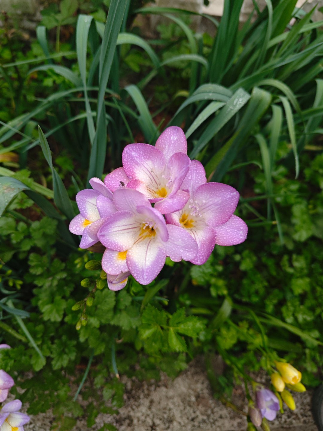 之前的游客照简直就是乱拍真的太有同感了，翻出以前的游客照，简直就是乱拍一通，要么