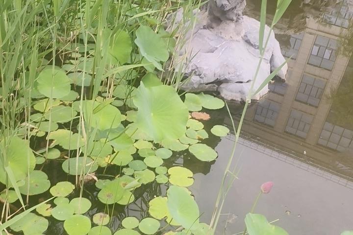 从今往后只想念不联系，只关注不留言，也许我只能这样默默的想着你。

如果问我有没