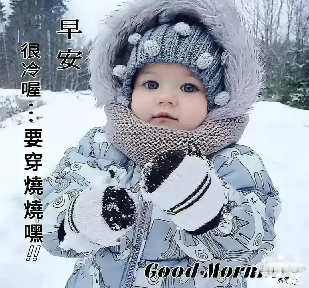 寒冬晨起，雪中嬉戏，暖意融融。一早就寒风凛冽