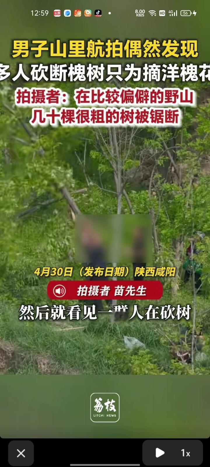 4月29日，咸阳市礼泉县。男子用无人机在山里航拍风景，无意发现那群人在砍树，然后