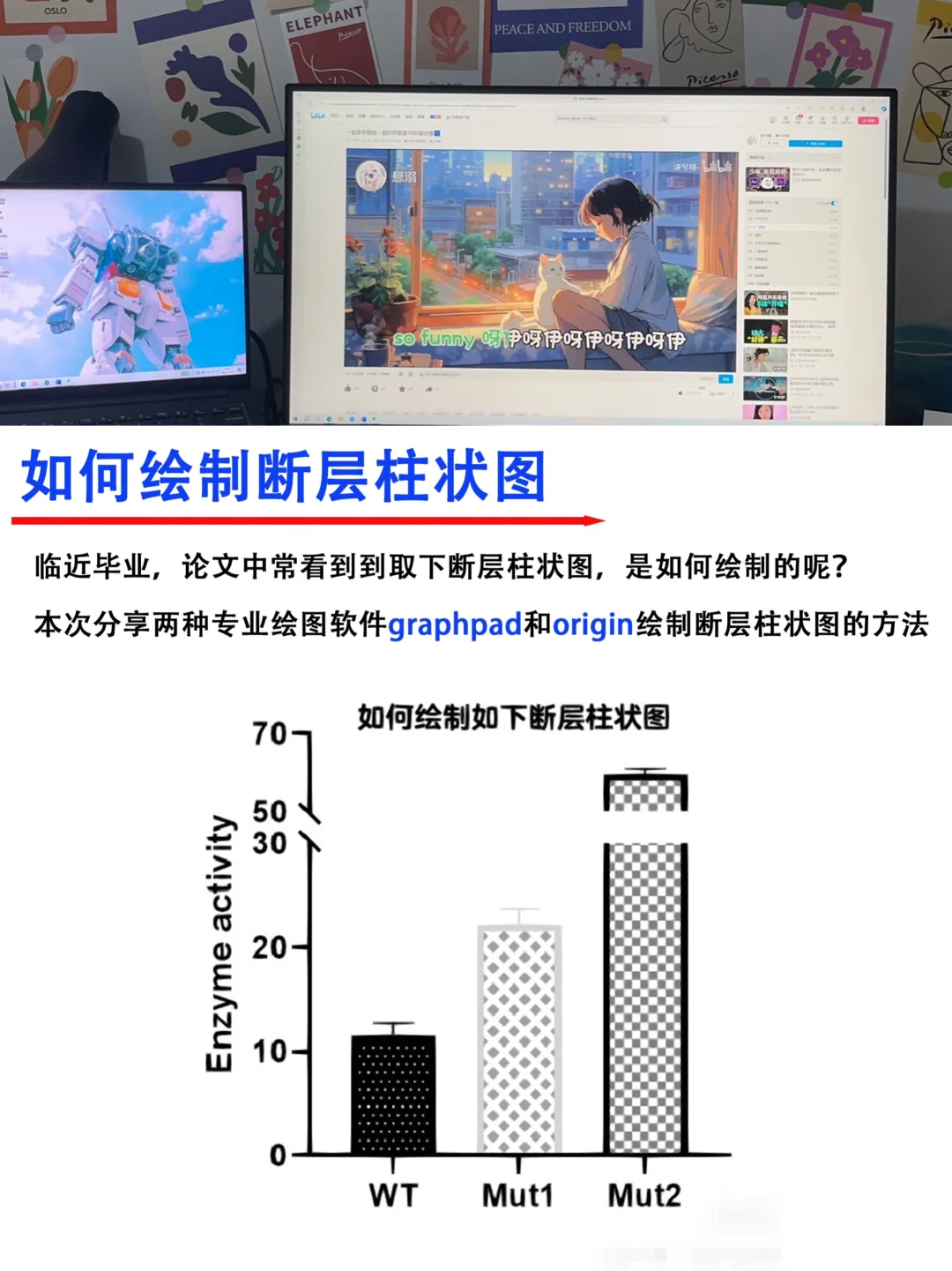 🔥五分钟学会用科研软件｜绘制断层柱状图