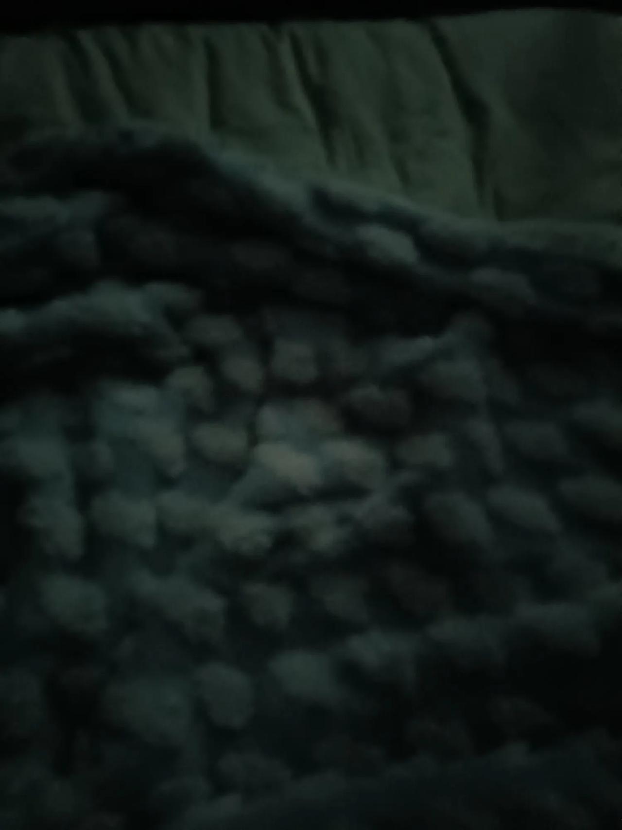 昨天晚上问媳妇:
你爱我不？
她说:爱
然后我说，我要是出事走了呢？
她立即说: