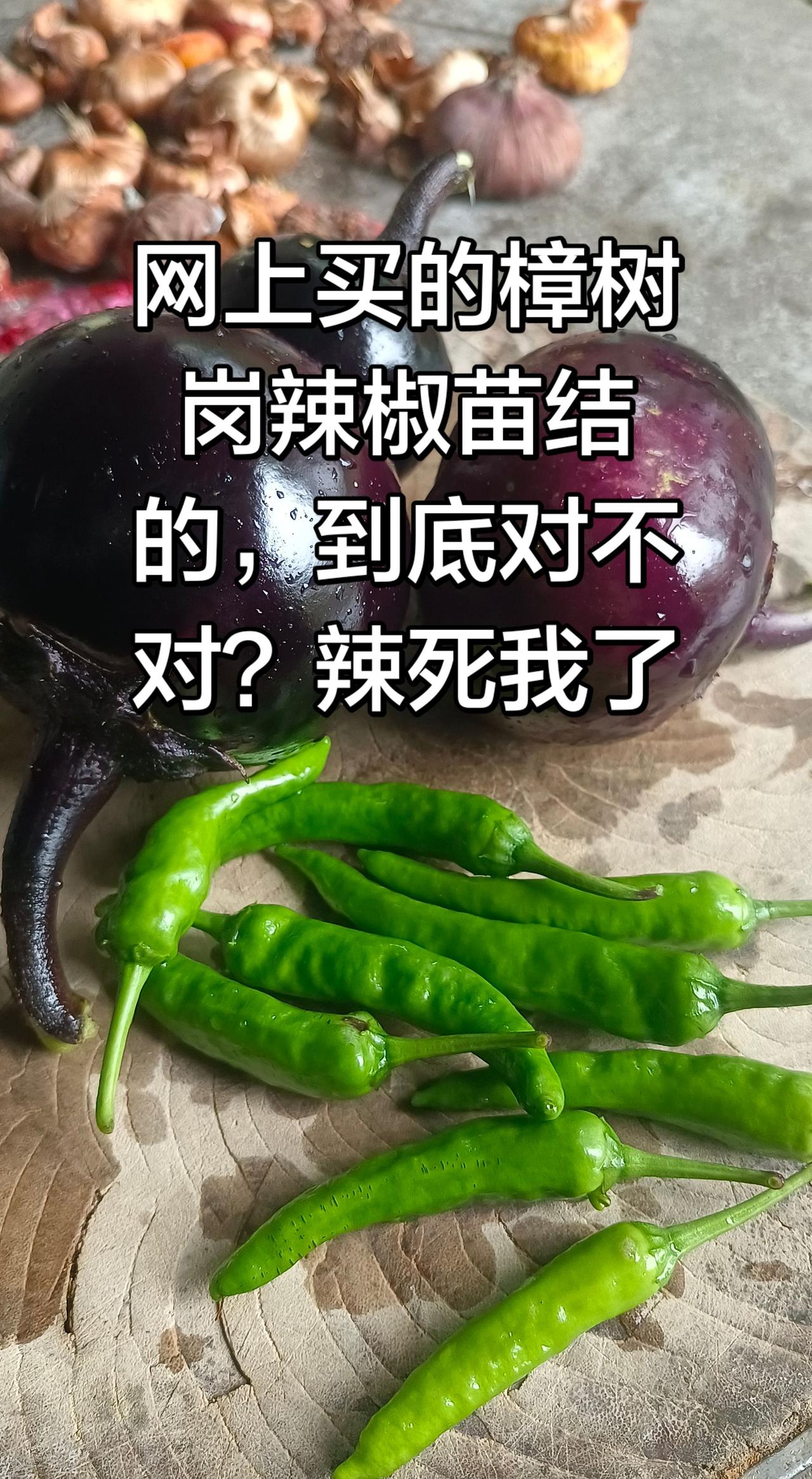 茄子不像茄子辣椒不像辣椒。