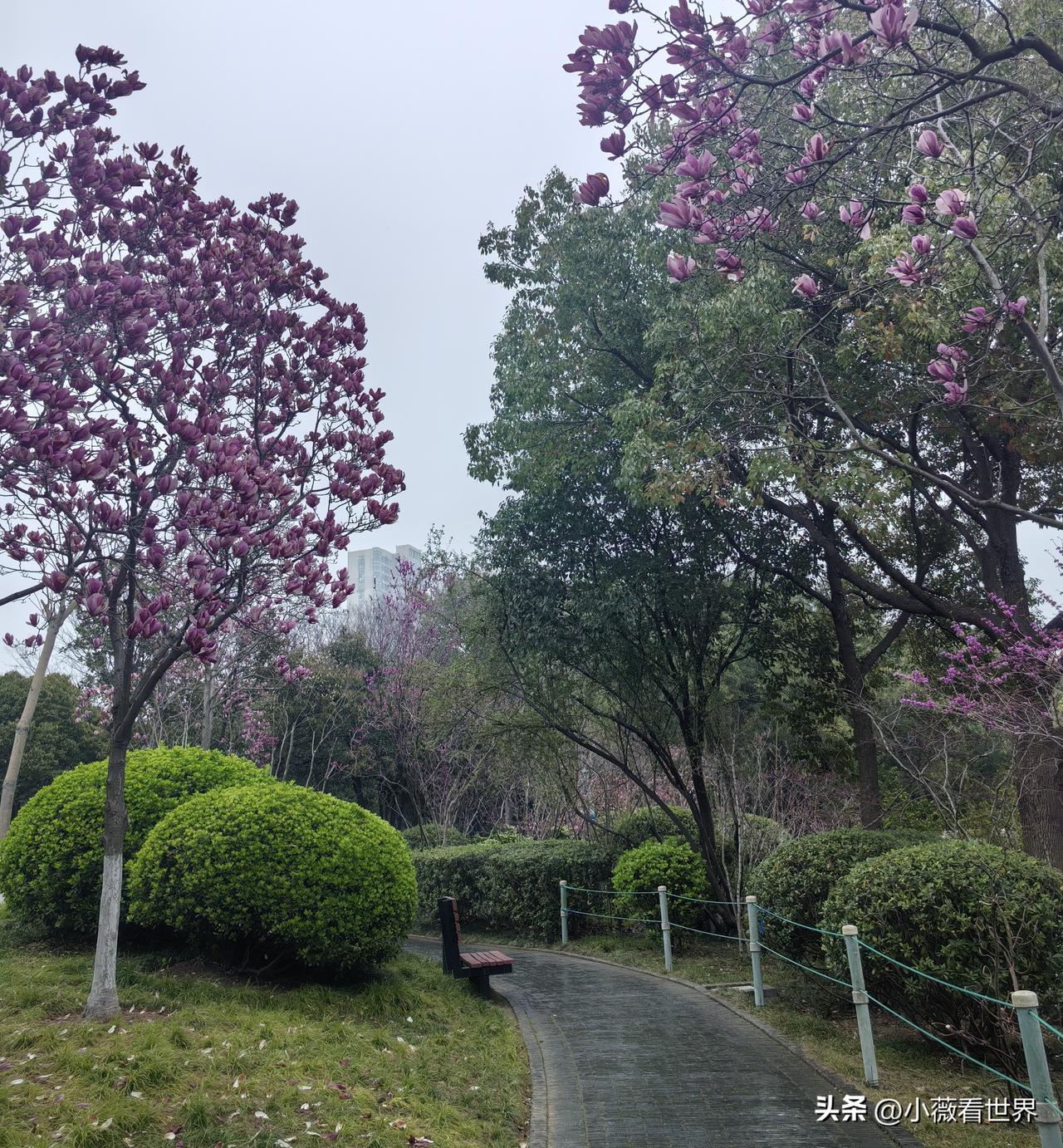 听说有的地方嫁出去的女儿不能回娘家过年，也不能去娘家上坟，是真的吗？

我们这里