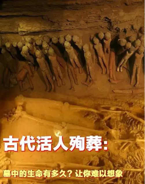 许多人以为殉葬就是活人被强行推进地宫，在封闭后哭喊绝望，事实上，为了生存，他们可