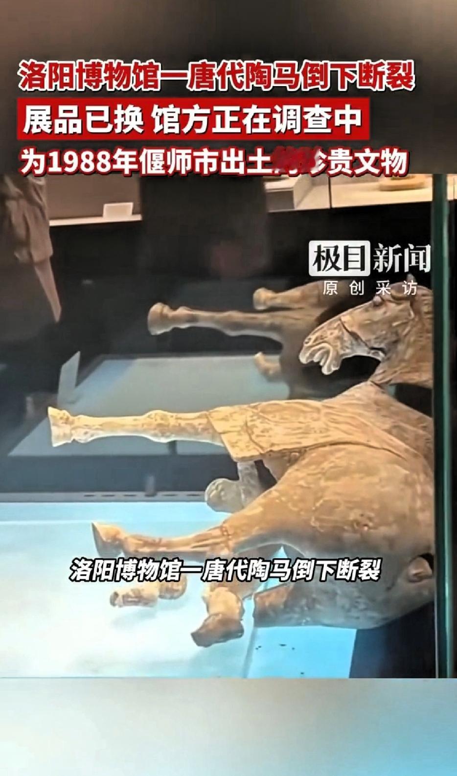 洛阳博物馆一唐代陶马倒下断裂，展品一换，馆方正在调查原因。
洛阳博物馆这次真是显