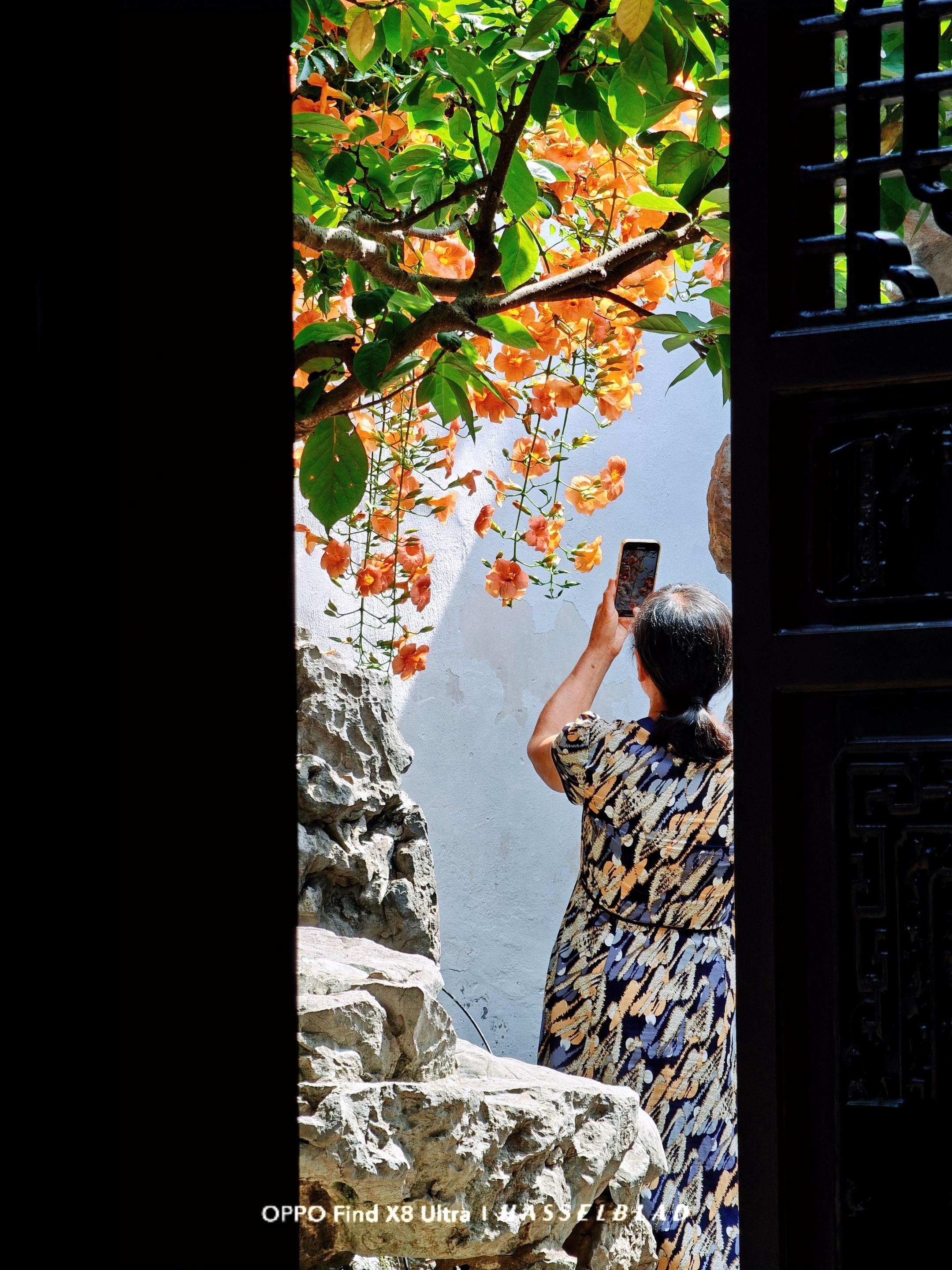 苏州的夏天，是网师园窗棂上的一抹橘红。在网师园，每一扇窗都不是孤独的 ...