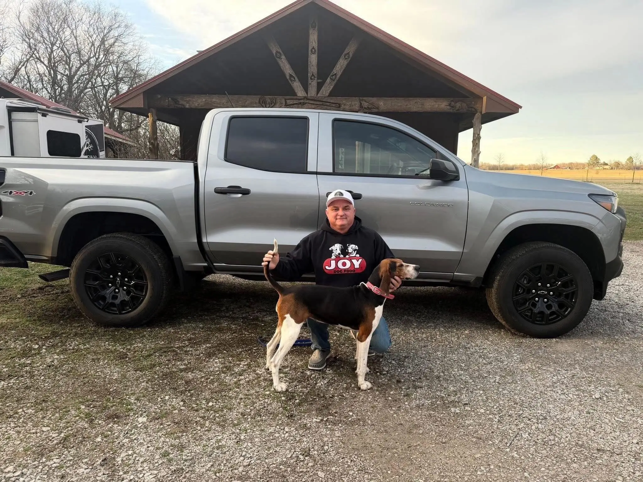 Treeing walker coonhound