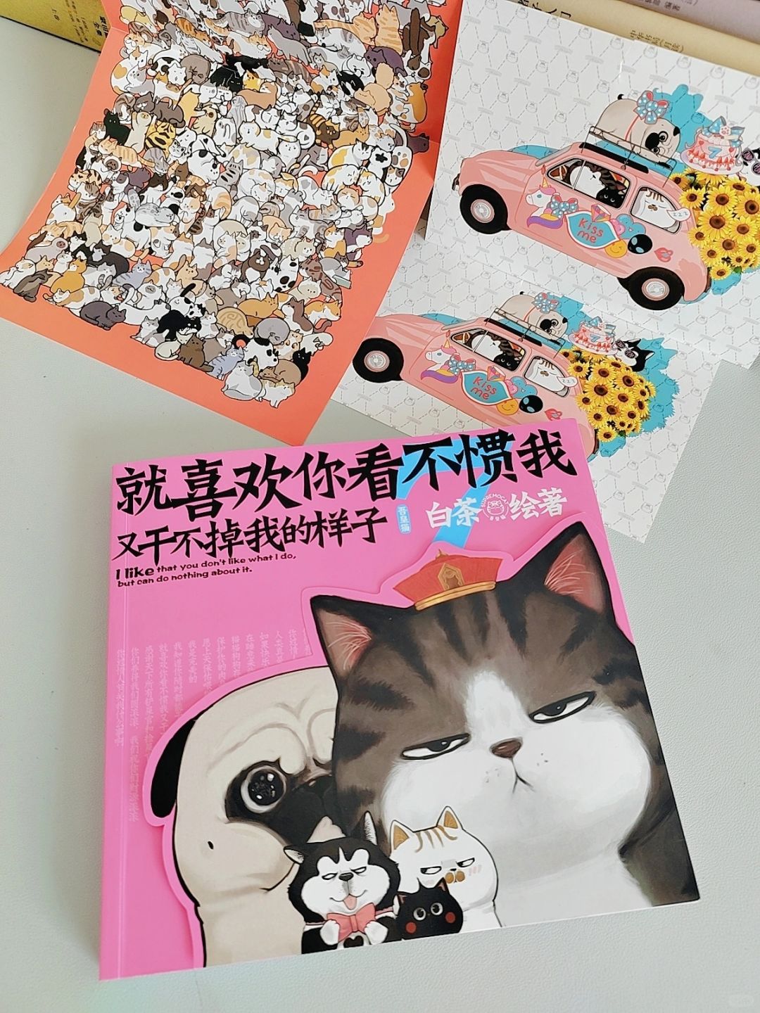 超暖心！治愈所有不快乐的大人！