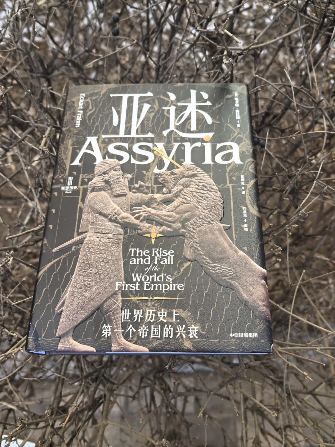亚述：世界历史上第一个帝国的兴衰