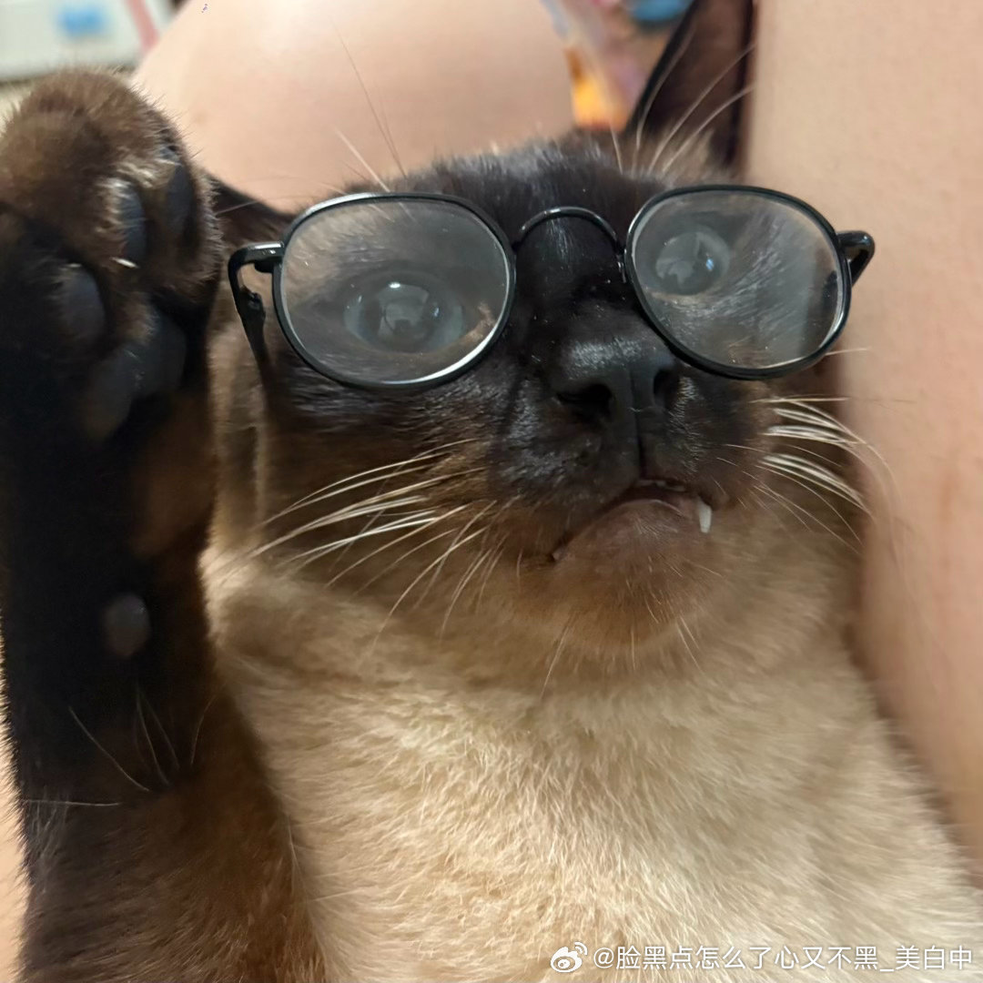 早安逼罗