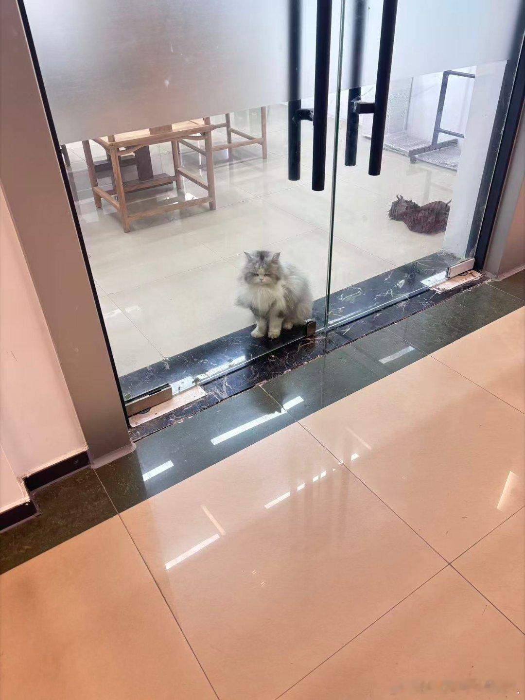 放假了，没人陪淼淼了很明显的不高兴 