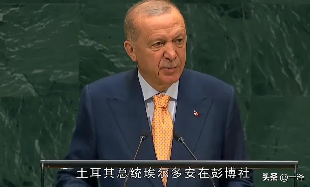单挑五常，埃尔多安要求取消安理会否决权，不准五国决定世界命运。不过，安理会常任理
