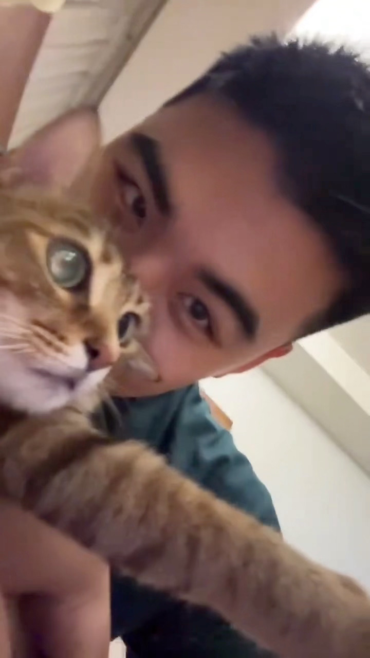 真的好喜欢我的小猫 
