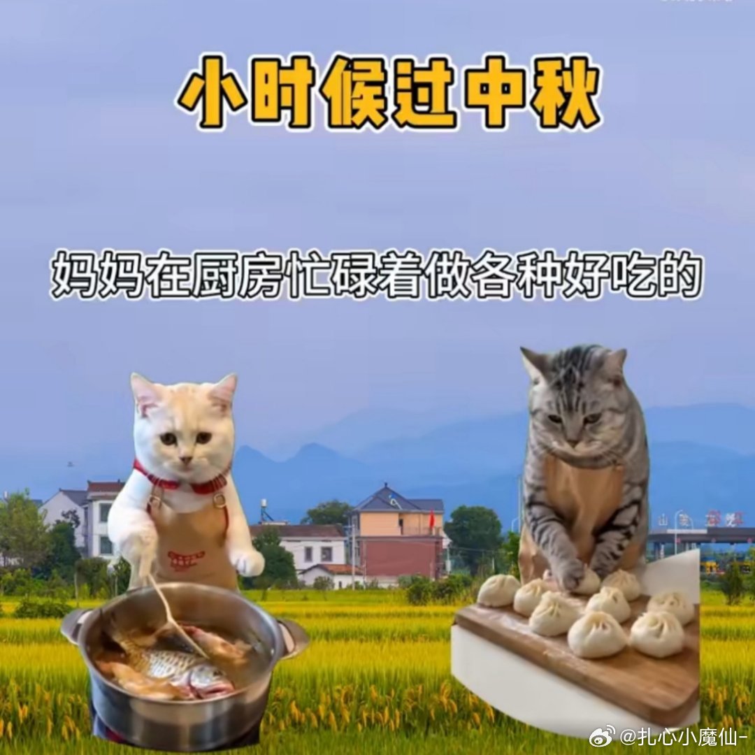 以前过中秋vs现在过中秋小时候盼着长大，长大后想回到小时候 ​​​