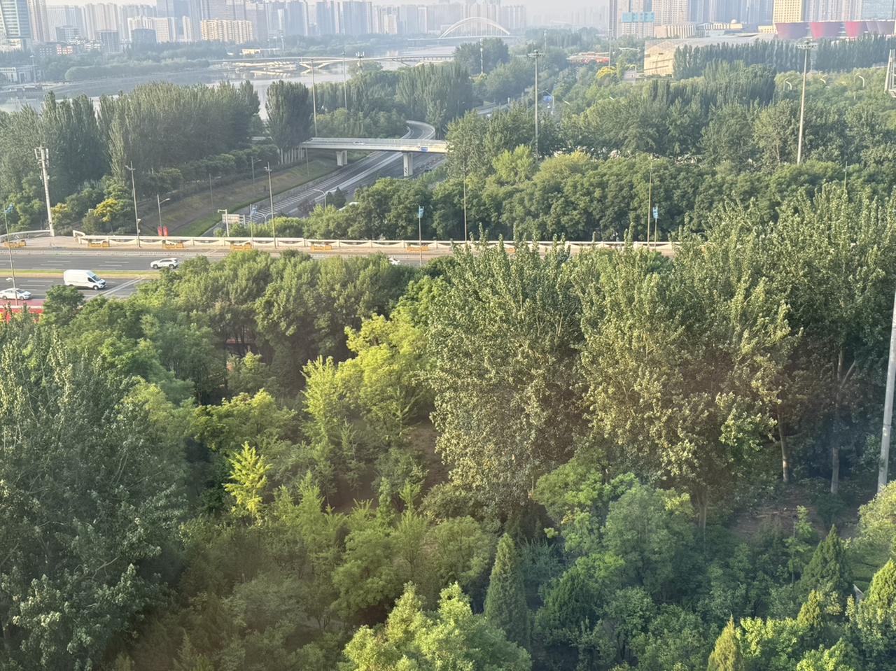 今天6月16日。讲究的是六六大顺。今天是忙忙碌碌的一天。准备准备，搞搞卫生。美美