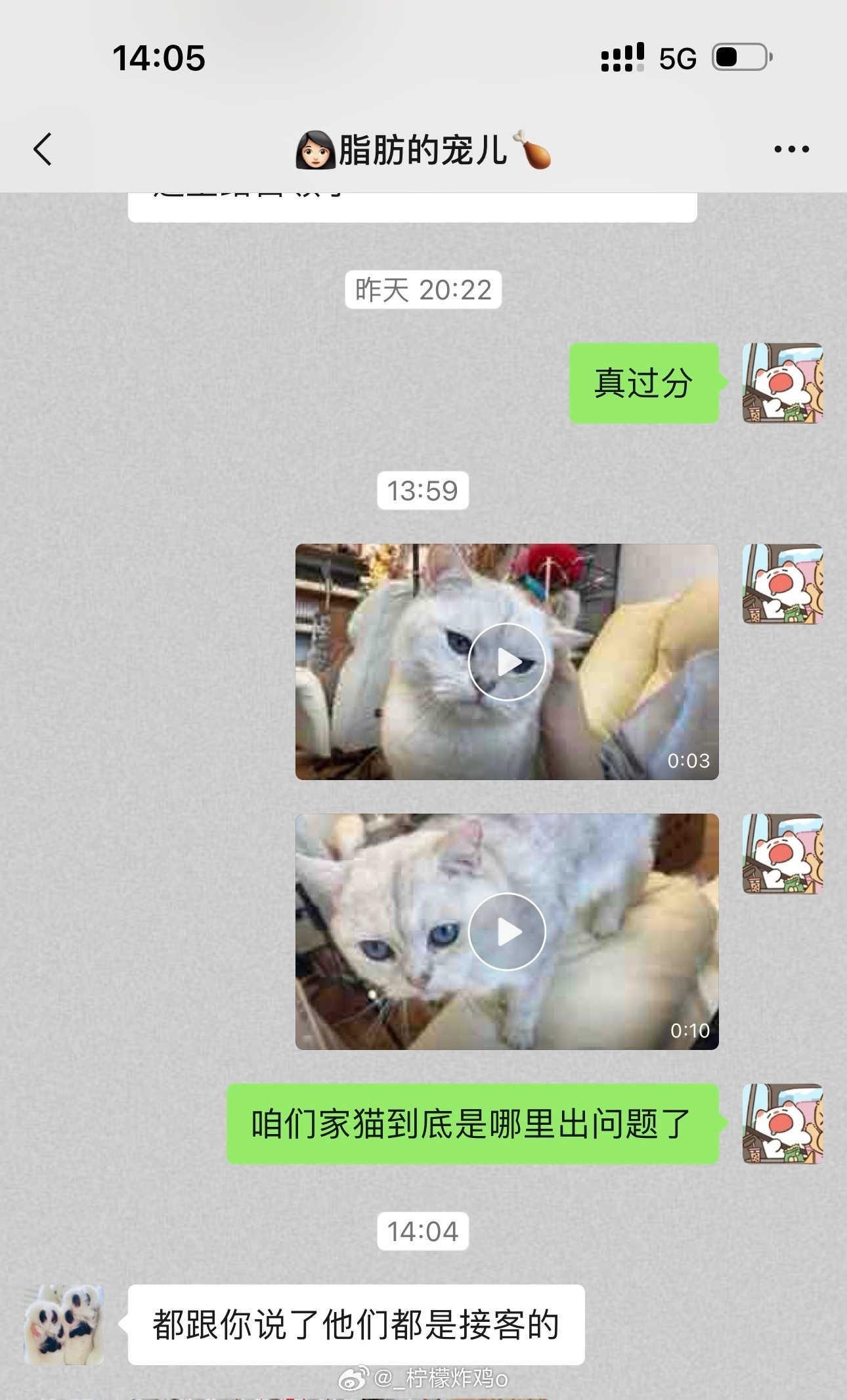 笑死 每次跟我妈说美甲店的猫亲人 我妈都这样