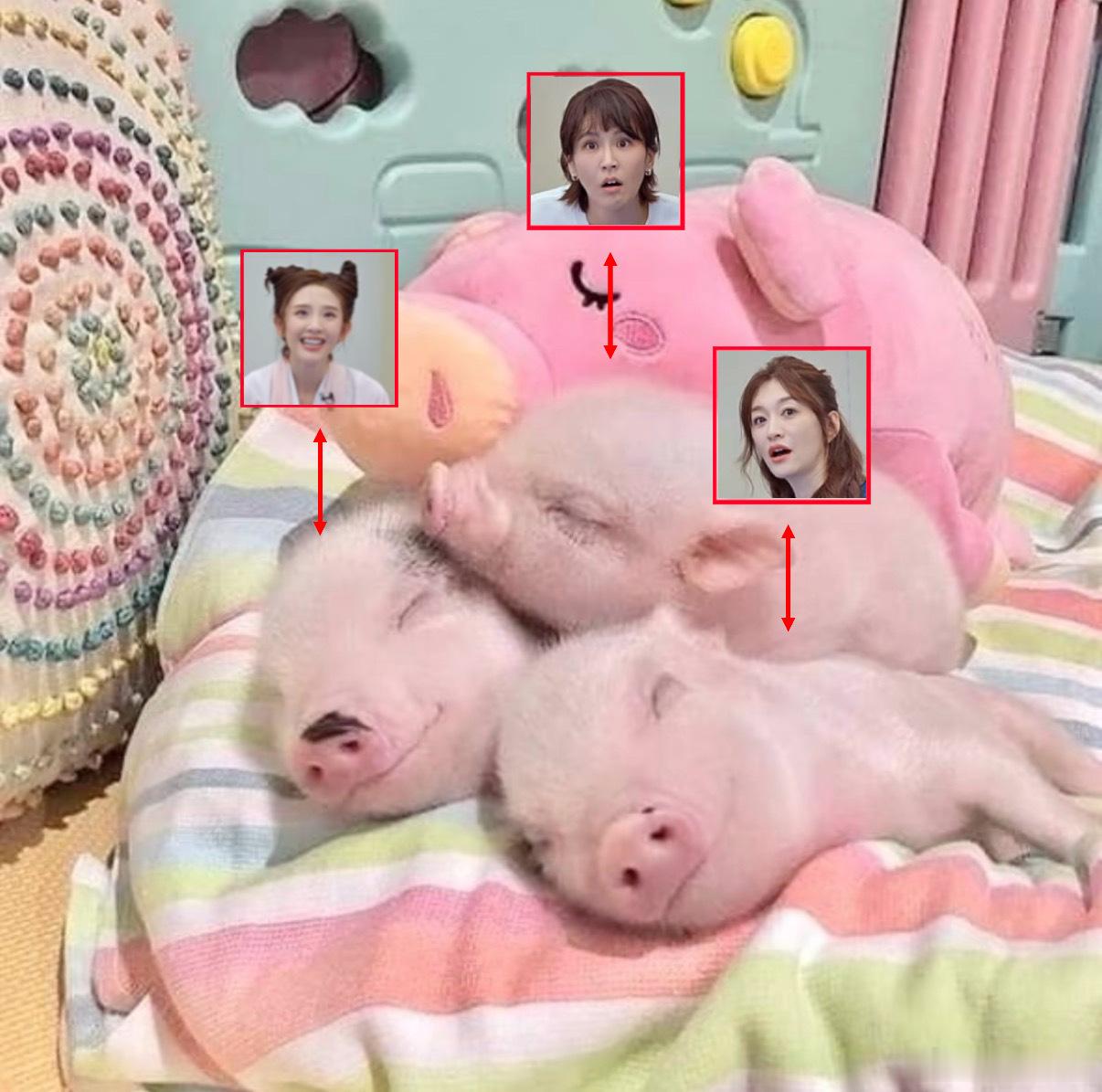 今日时光机总结：