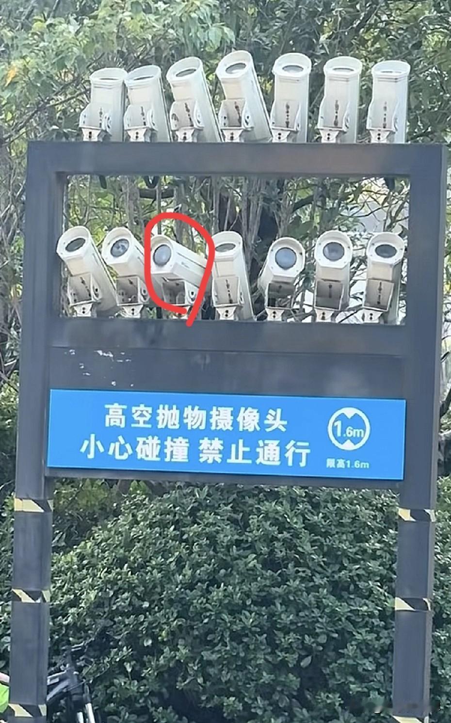 这得让高空抛物逼成啥样[捂脸]，在一个架子安装了14个摄像头，直接对准所有楼层角