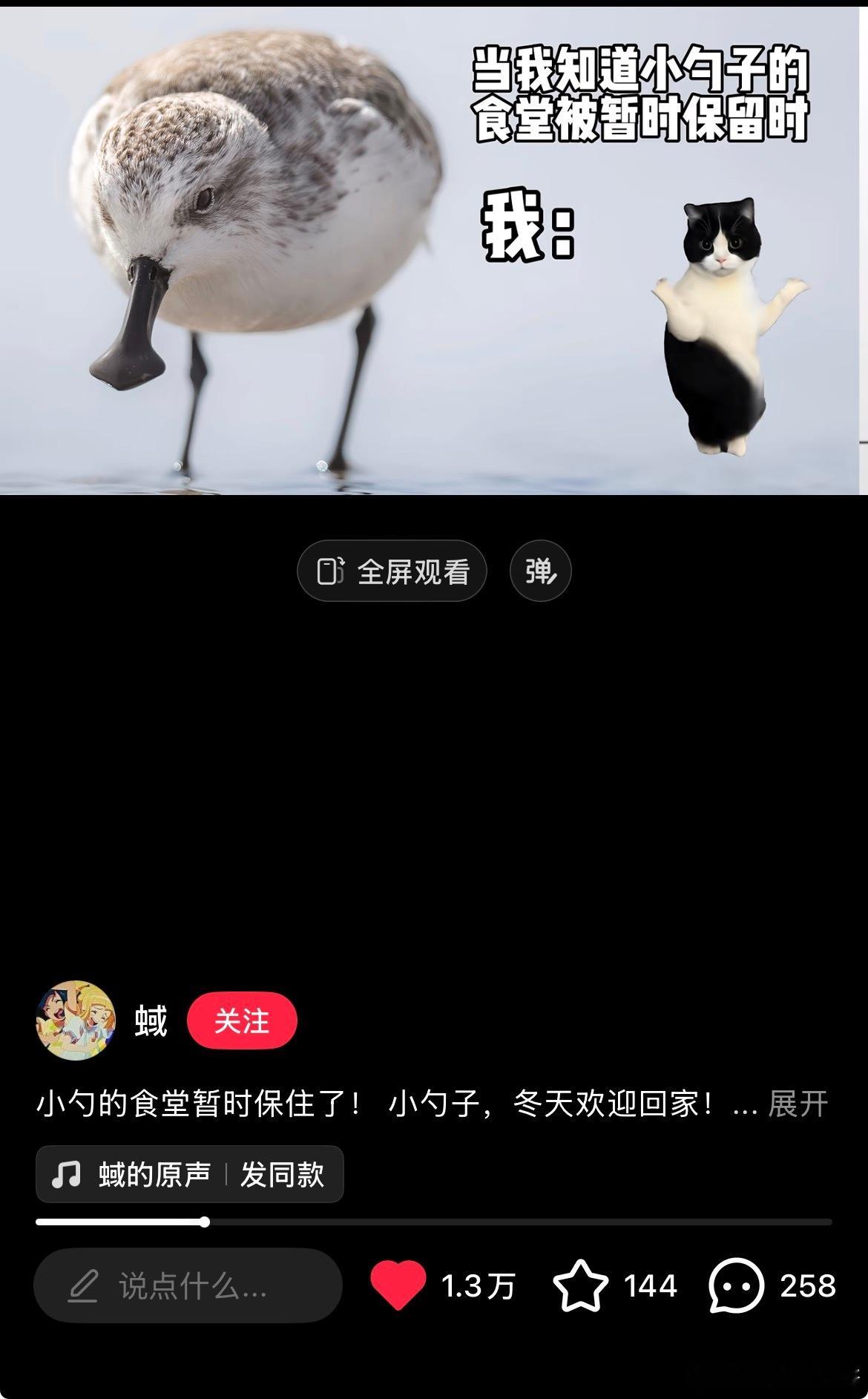 网络的时代真好啊，因为那么多发声的人所以小勺子的栖息地暂时安全了，修建一条公路的