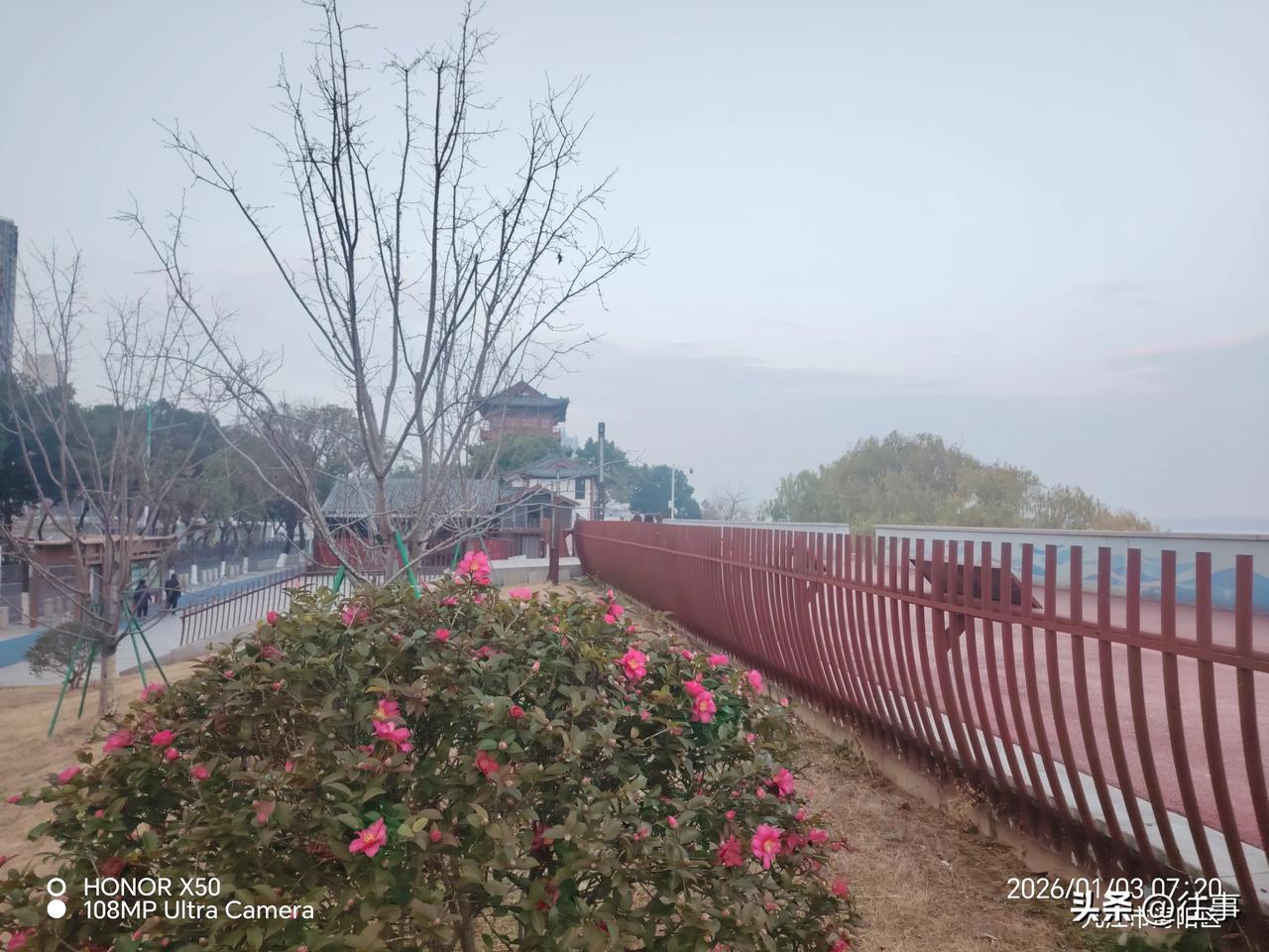 我的年度菱感记忆2026年1月3日长江岸边晨练赏《浔阳楼》