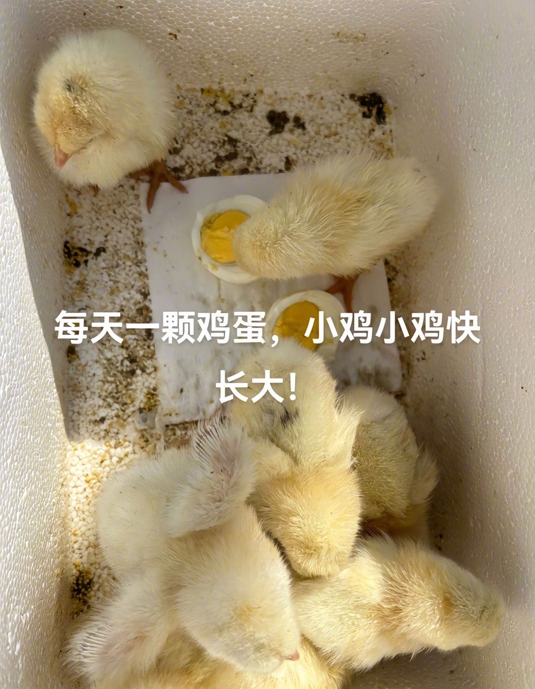 唐朝若是有网友，唐诗何止三百首 ​​​