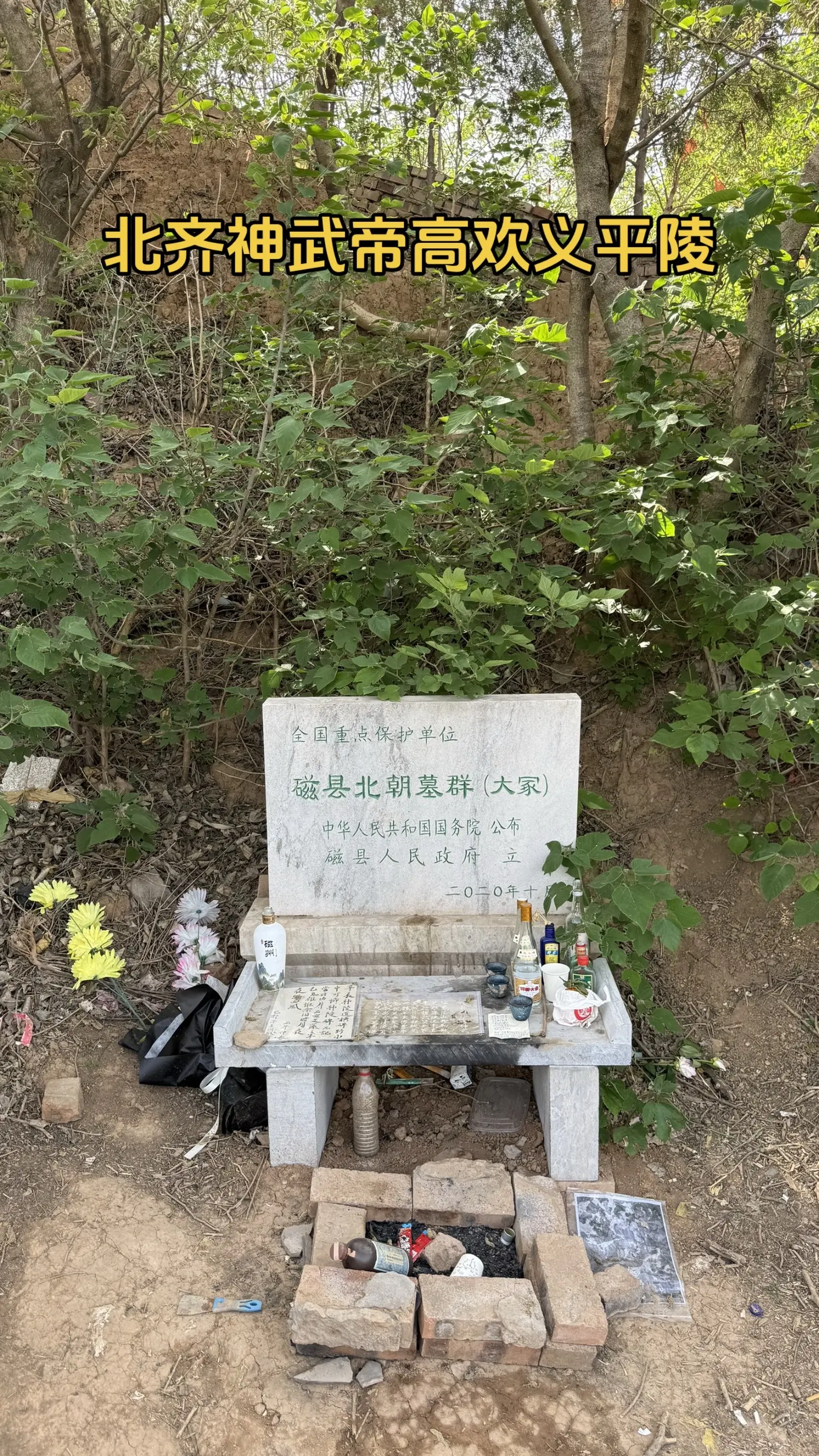 祇今尚有清流月，曾照高王万马过。