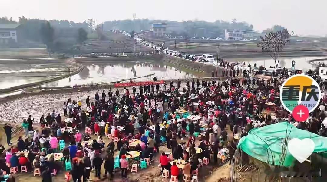 合川呆呆妹，千人赶来帮忙杀年猪这件事，应该引起基层组织重视，每个村应当成立“杀年