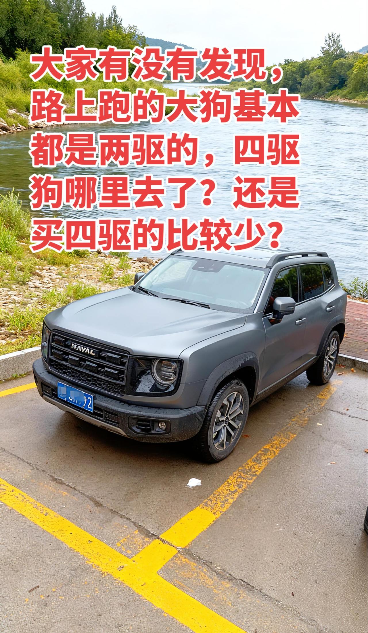 四驱大狗太少见了，一年遇不见一辆