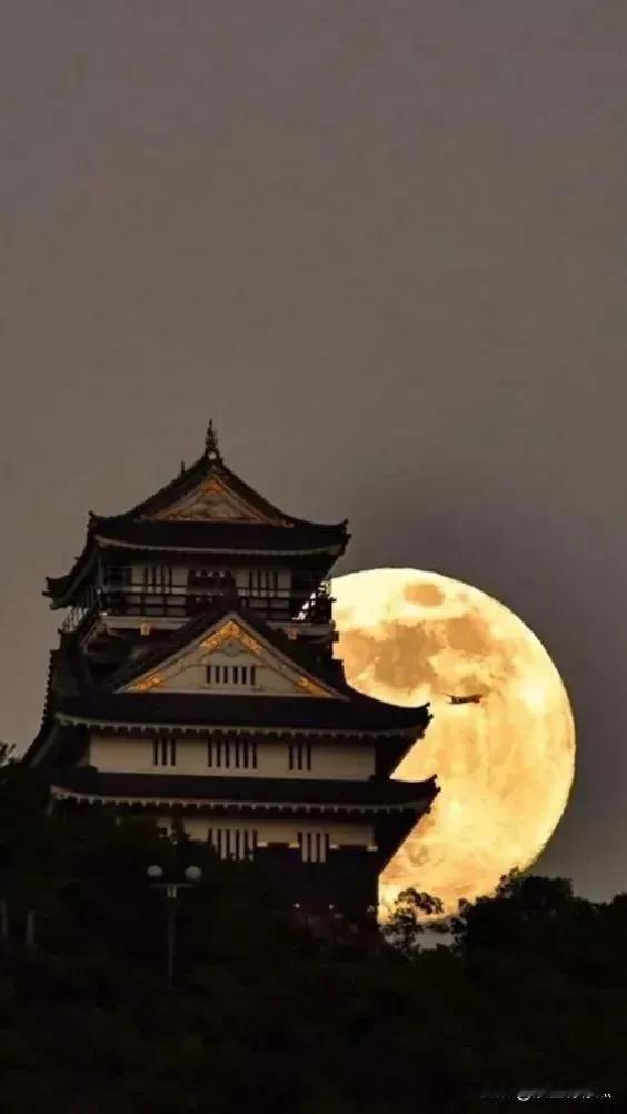 #一句诗词形容中秋#“十轮霜影转庭梧，此夕羁人独向隅。”体现了中秋之夜的清冷和羁
