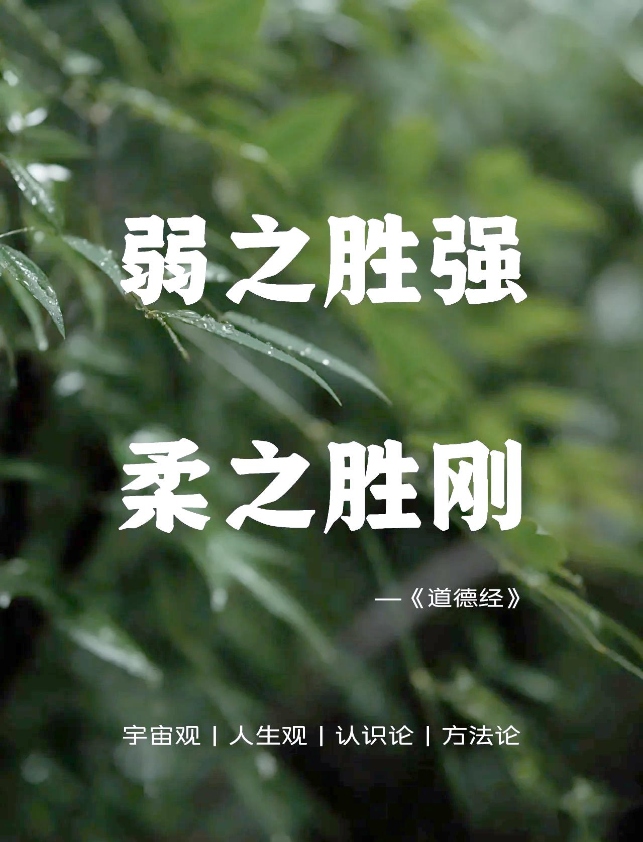 世界上有生命力的东西都是圆润、柔和、柔软的。一切死亡或濒临死亡的东西，都是僵化、