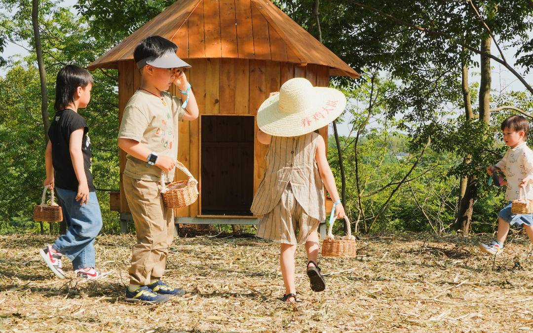 田野之梦，探索竹篓中的奇妙世界