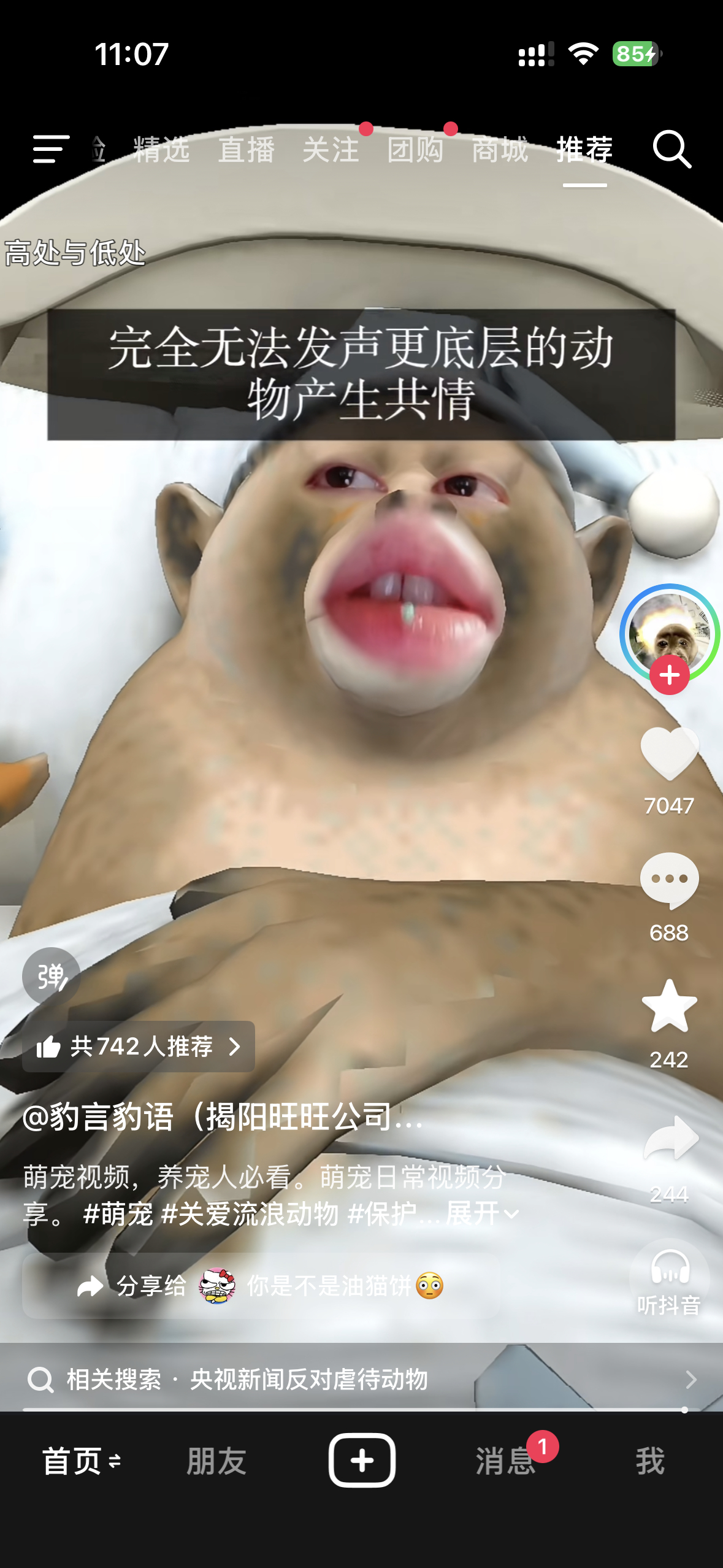 分享图片 