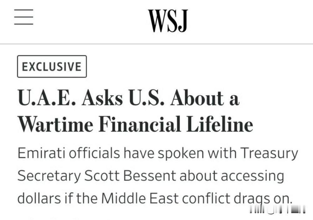 阿联酋警告美国将用人民币结算

WSJ援引美国官员的话报道称：“阿联酋央行行长向