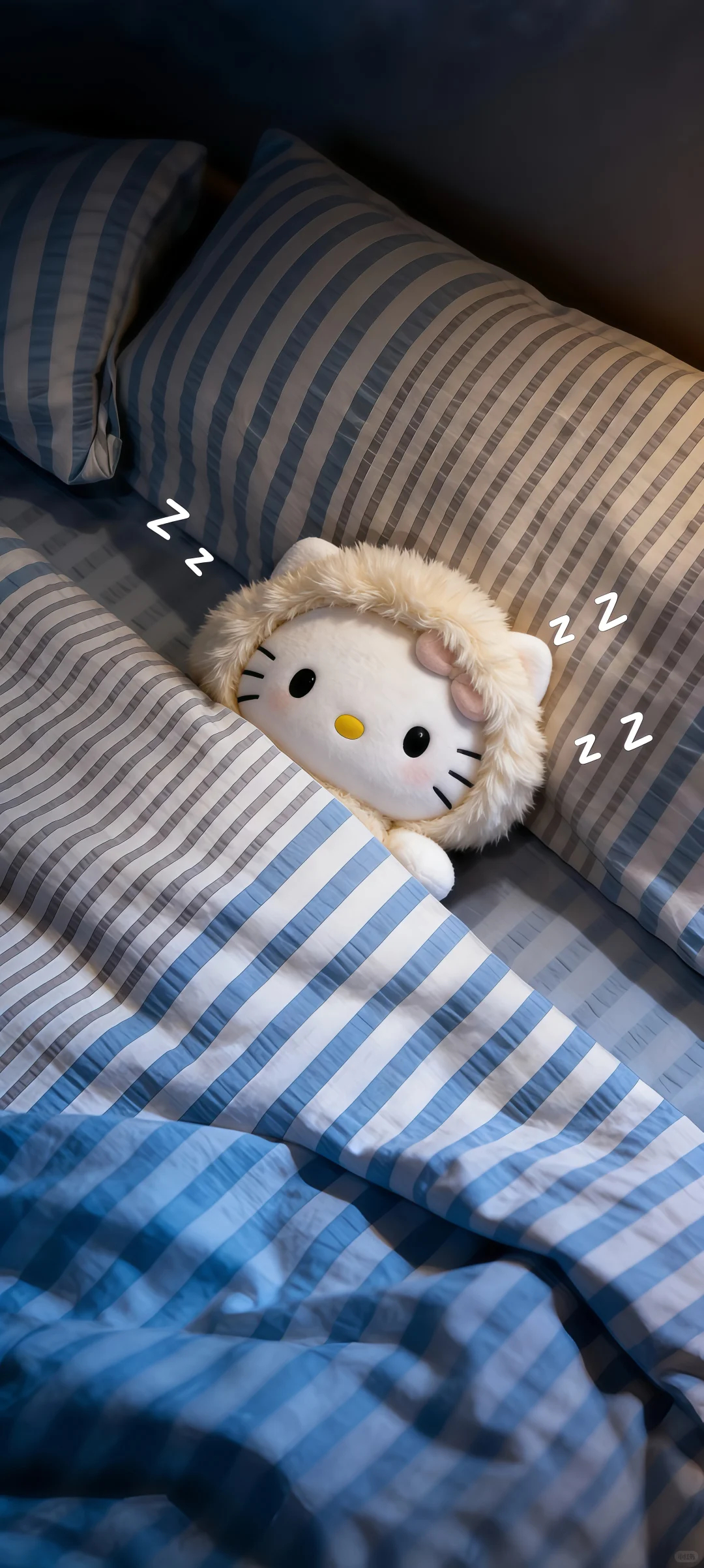 今日壁纸分享 