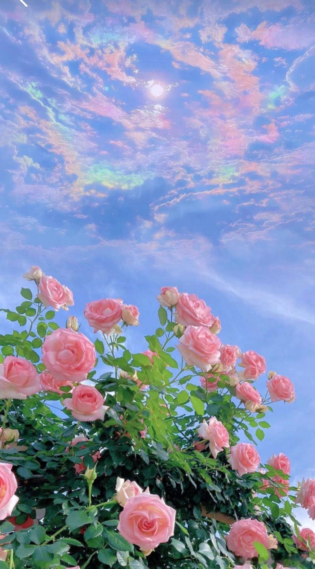 每日一善 青春是短暂的，同时也是最美好的。我们也应为此而更加明白青春的珍贵，珍惜