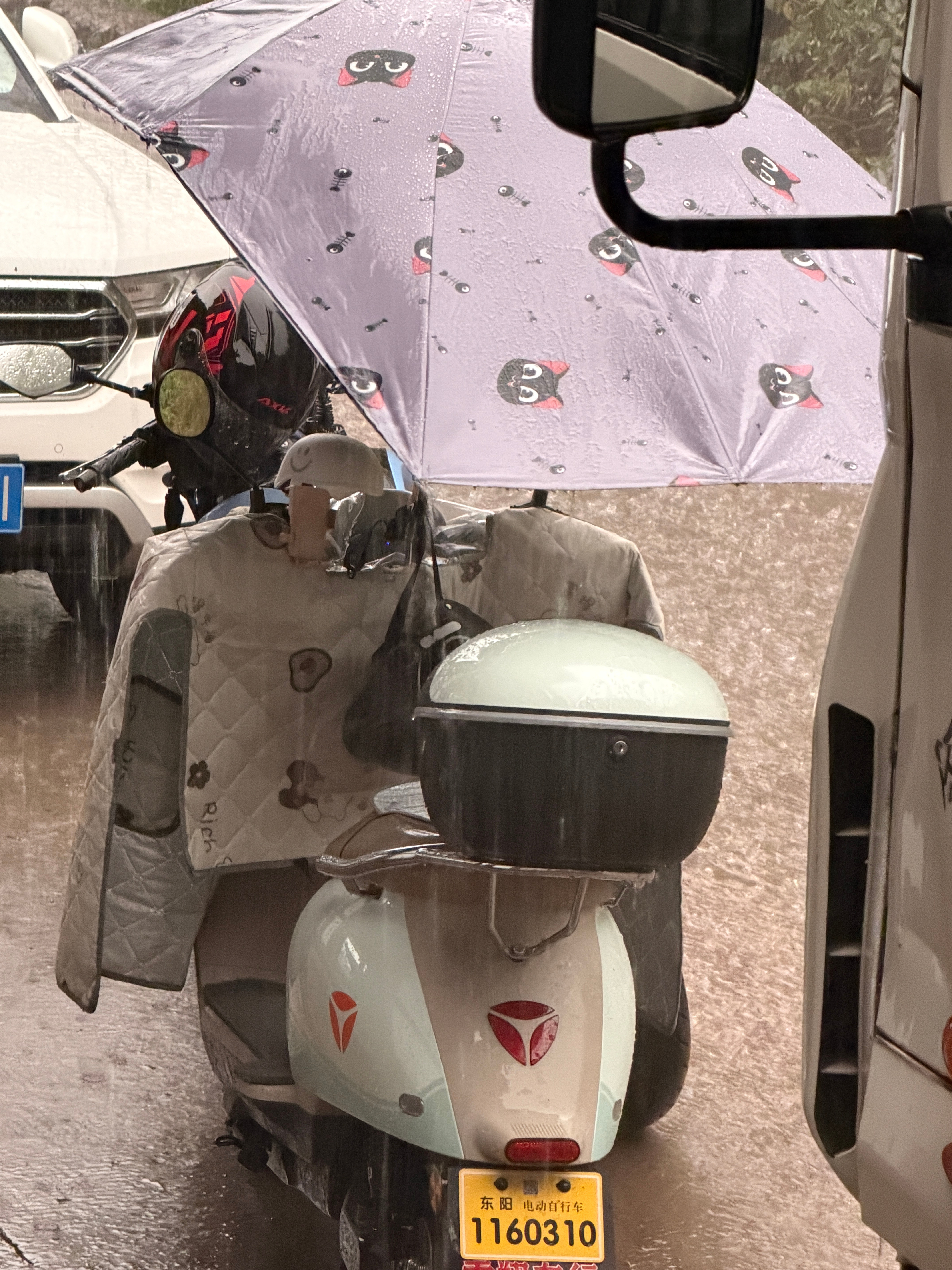 衣服快湿透了[苦涩]雨大的打伞也没用 ​​​