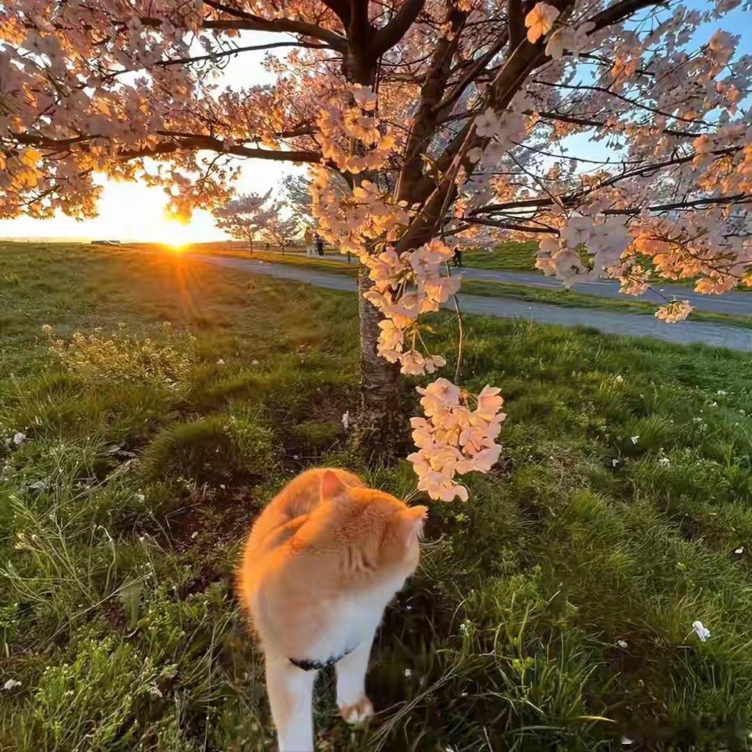 志同道合的人，才看得懂同一片风景。 