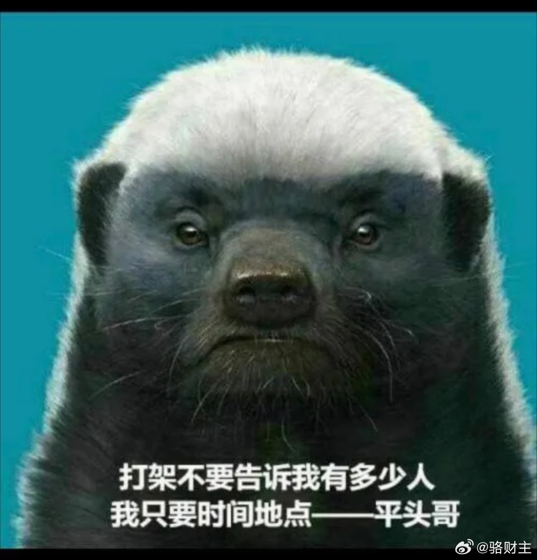 生死看淡，不服就干。 