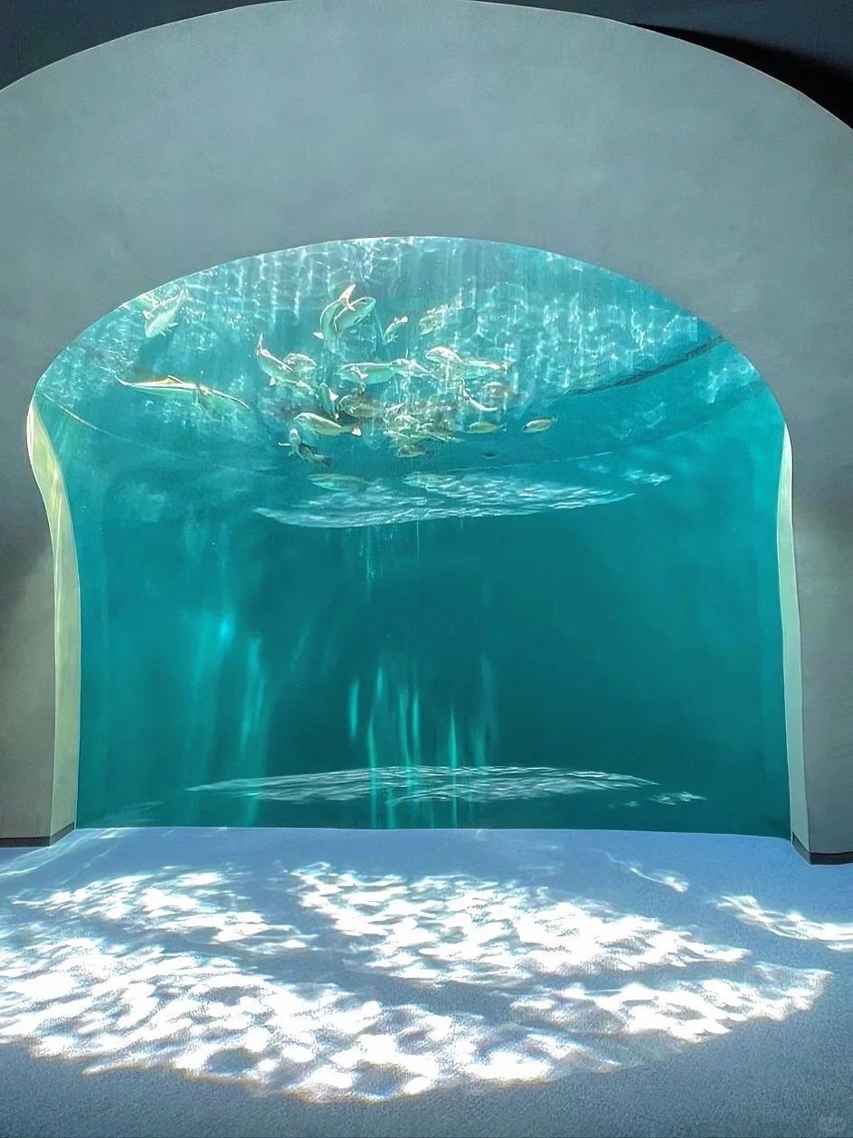 日本旅行🐬一眼惊艳的绝美水族馆 极致梦幻！
